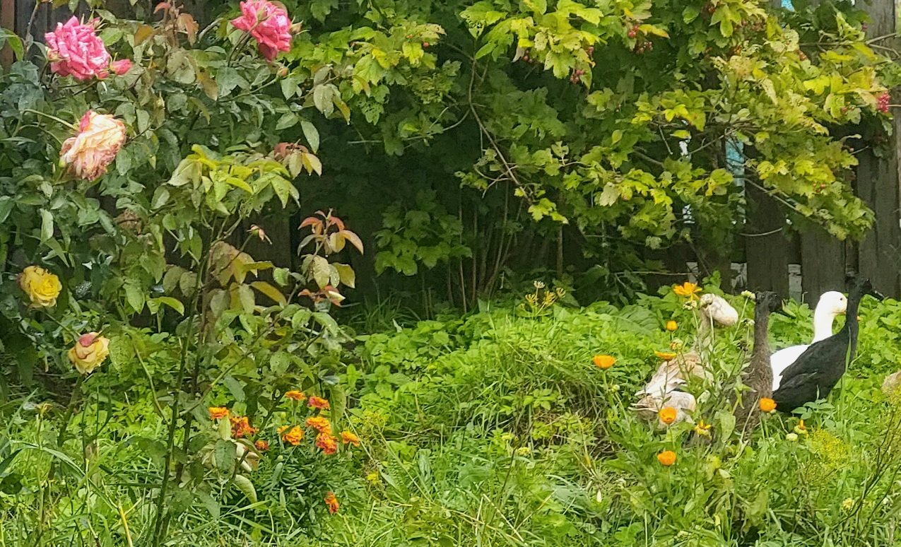 20260907_164811.jpg