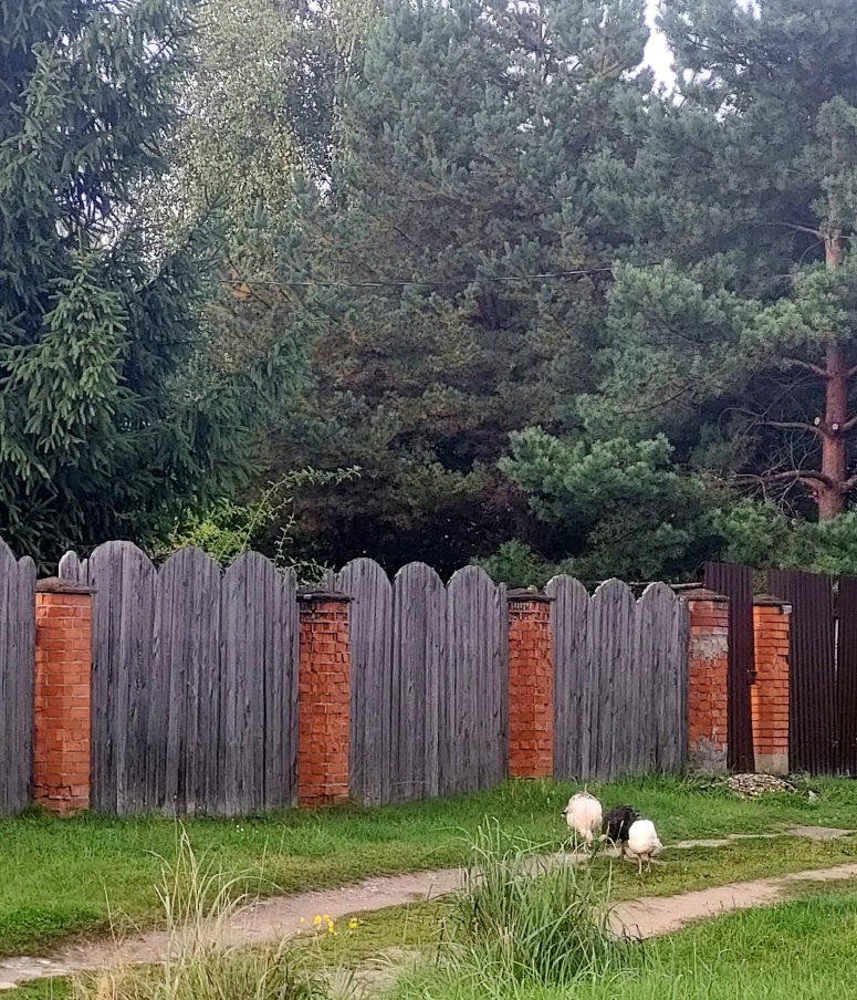 20260907_174130.jpg