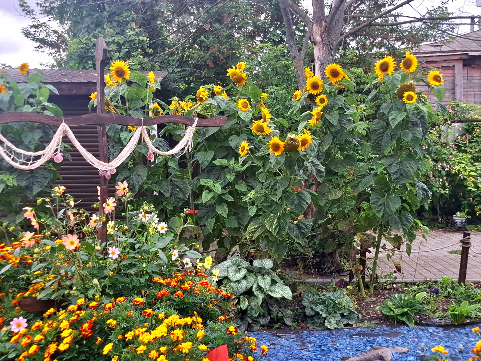 20260908_143857.jpg