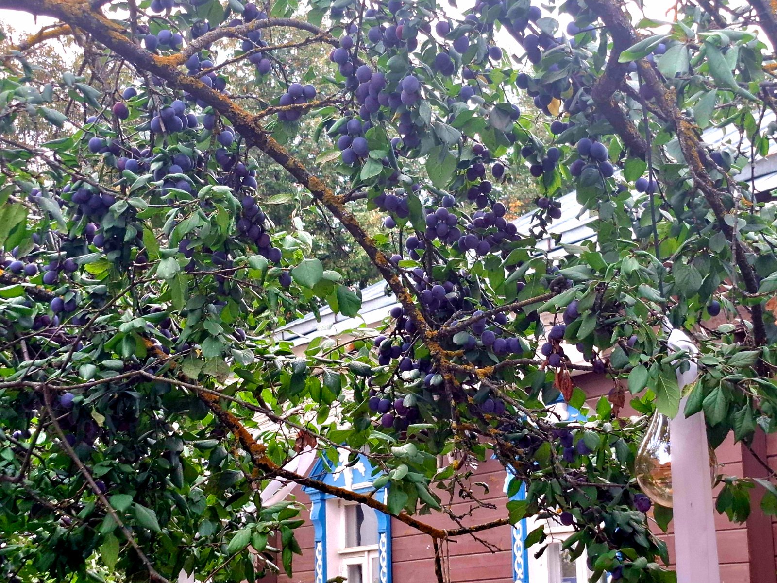 20260908_171057.jpg