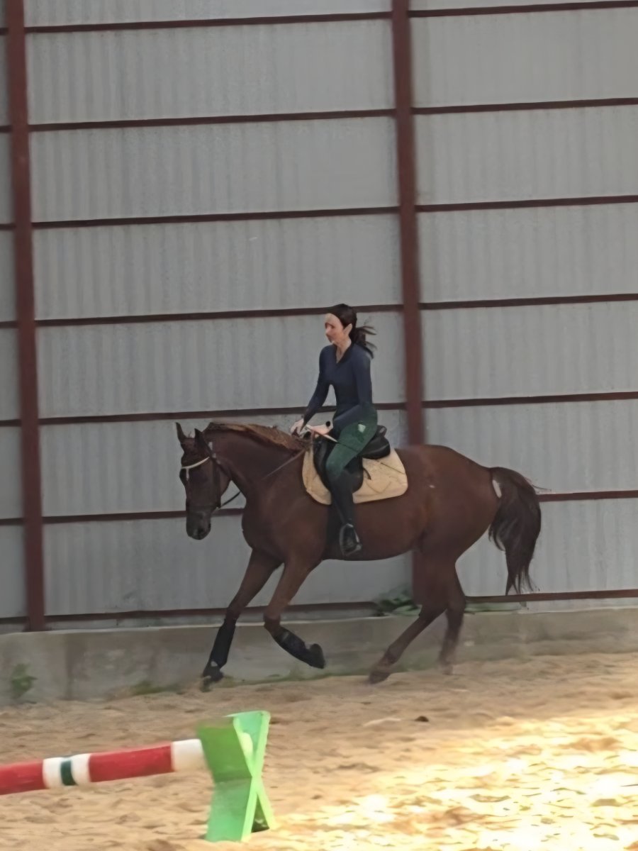 20260911_130017316(2).jpg