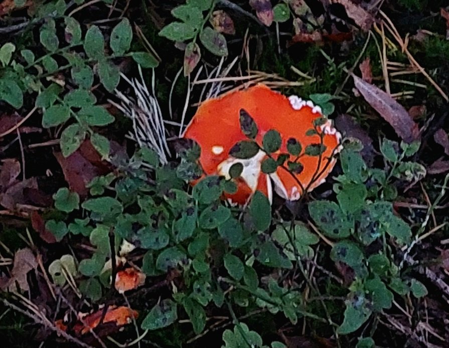 20260911_183113.jpg