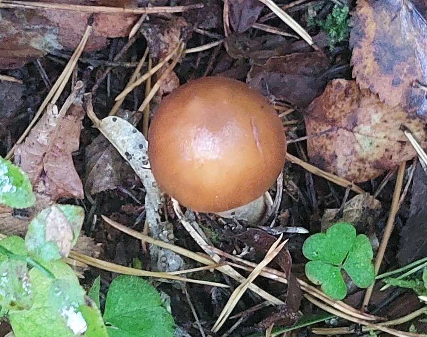 20260911_183226.jpg