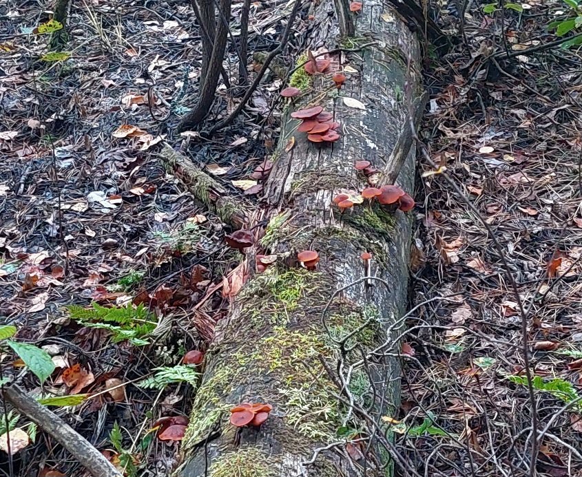 20260911_183404.jpg