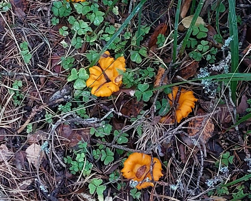 20260911_183534.jpg