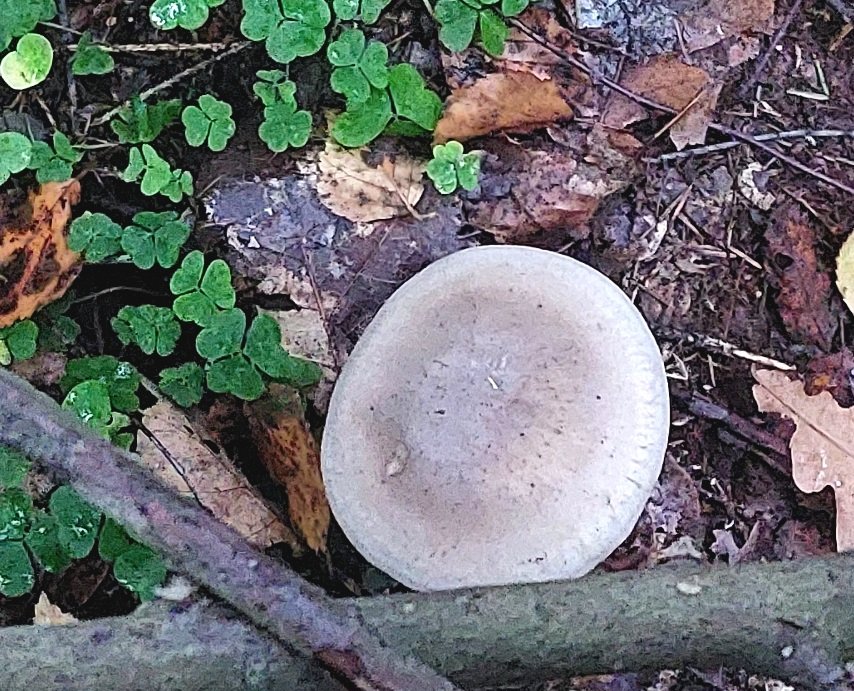 20260911_184636.jpg