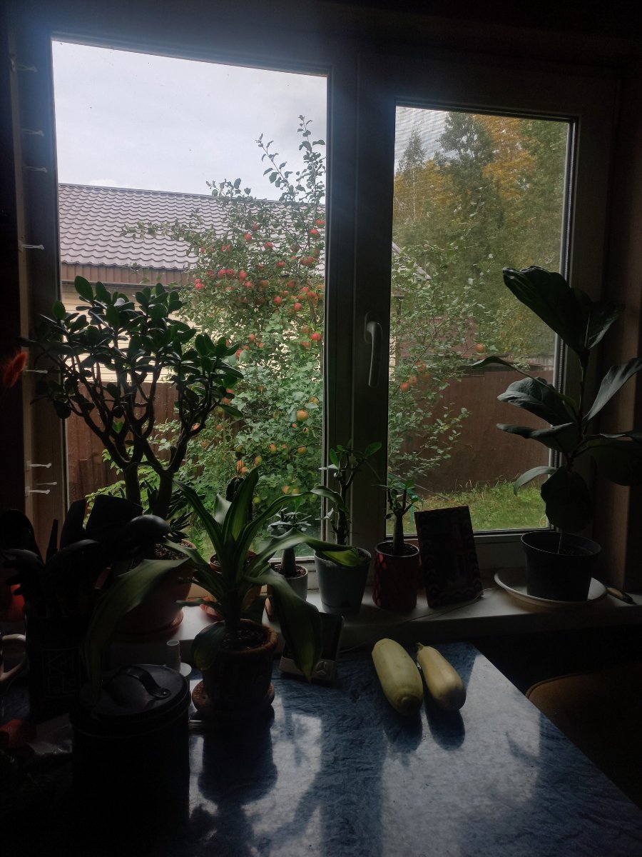 20260912_141019.jpg