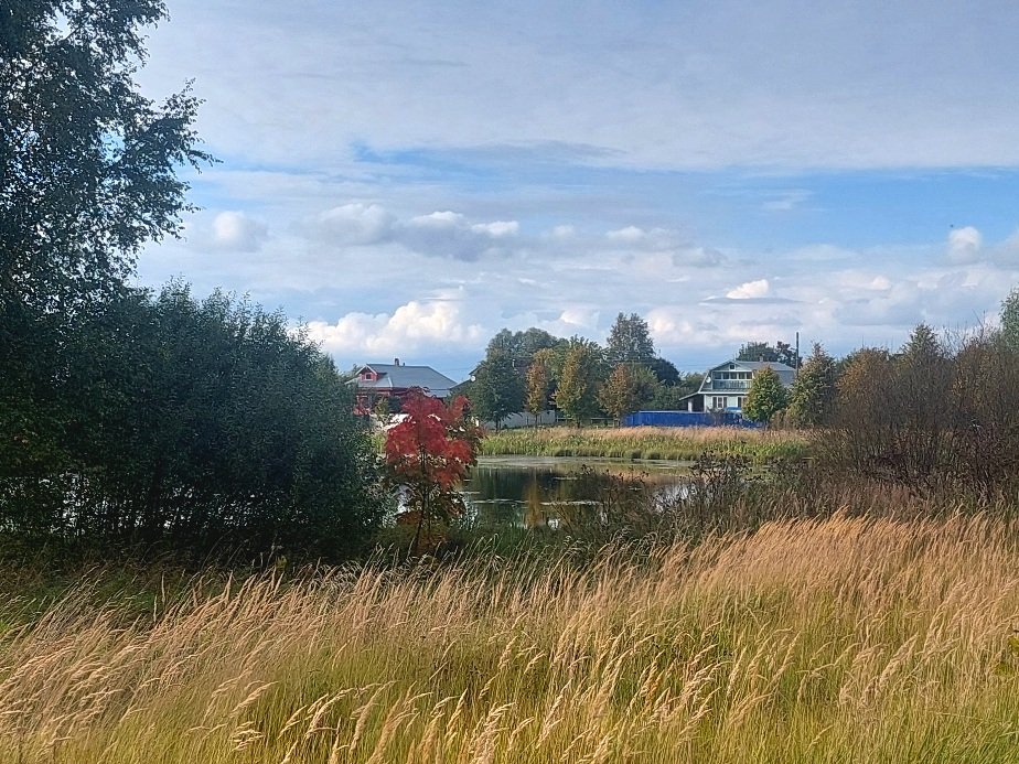 20260914_162524.jpg