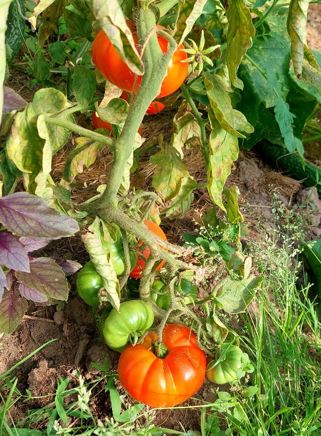 20260915_151917.jpg