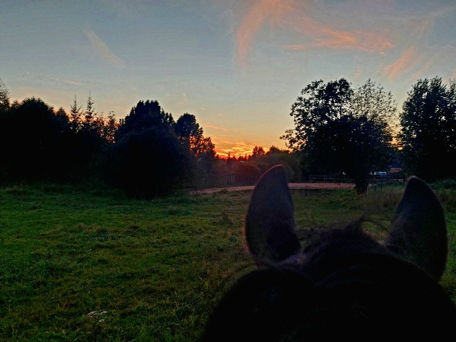 20260916_185224.jpg