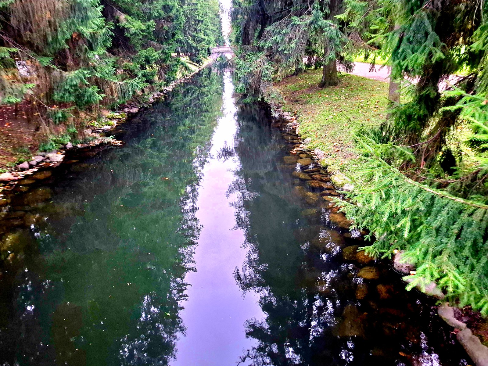 20260918_171551.jpg