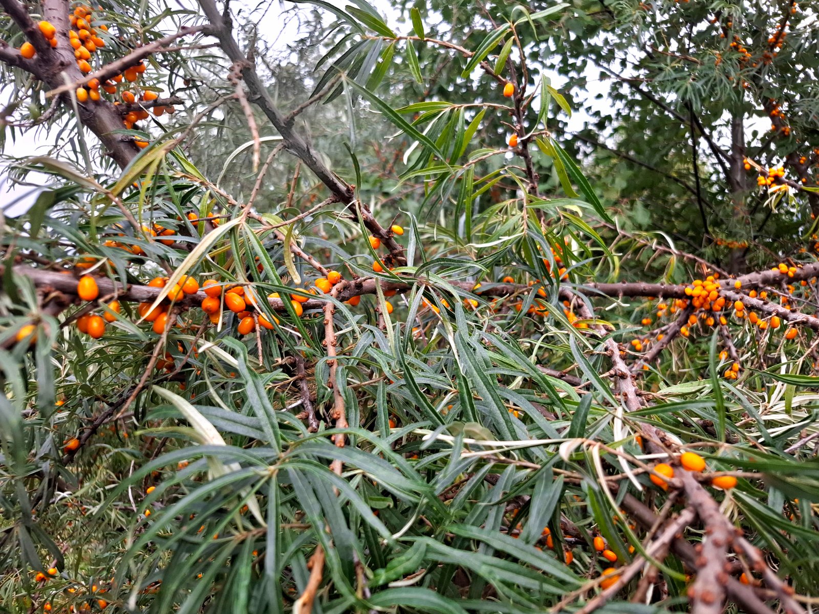 20260919_133755.jpg