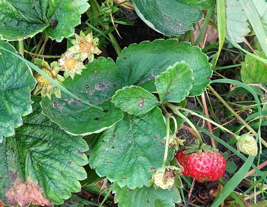 20260920_164902.jpg
