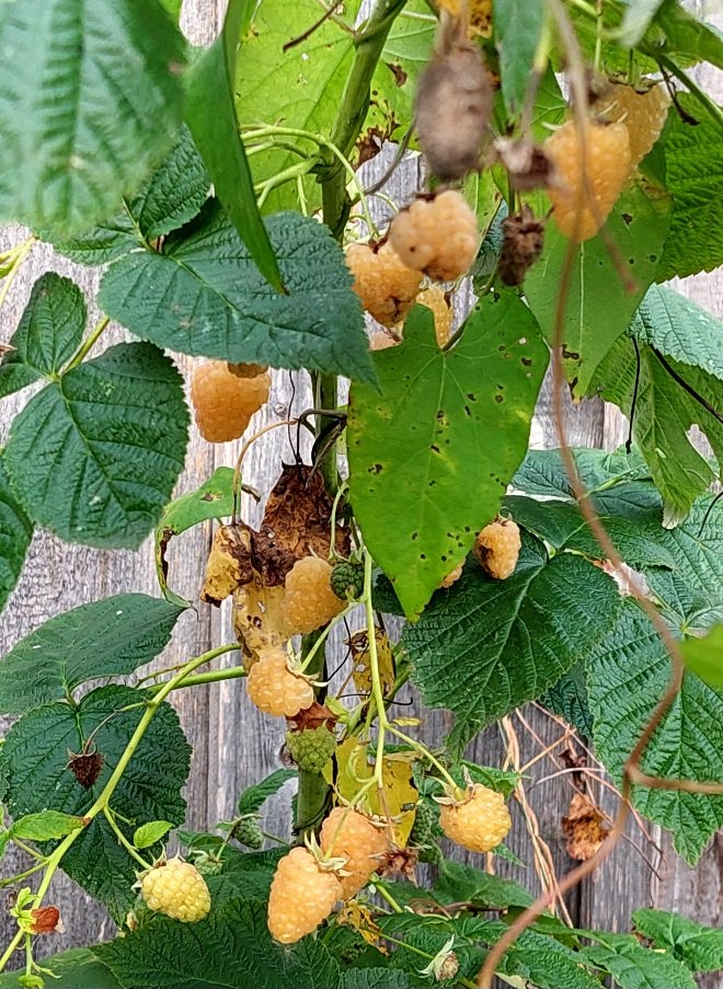 20260920_170720.jpg