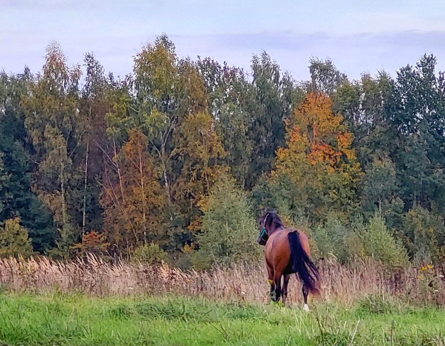 20260920_180853.jpg