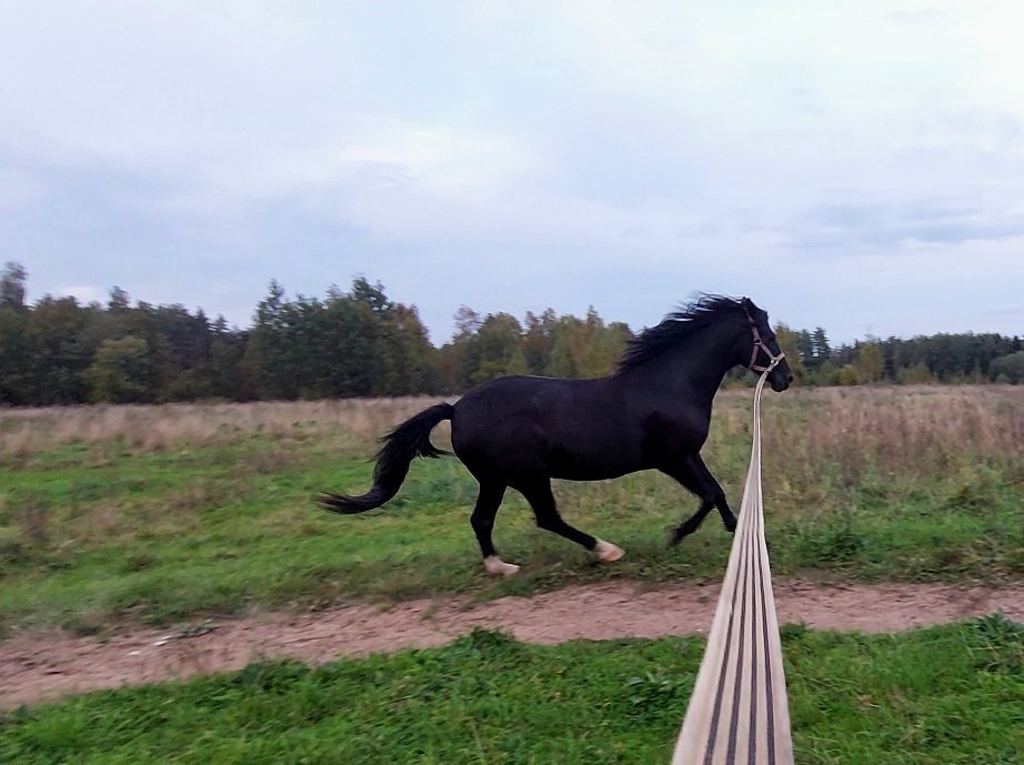 20260920_181621.jpg