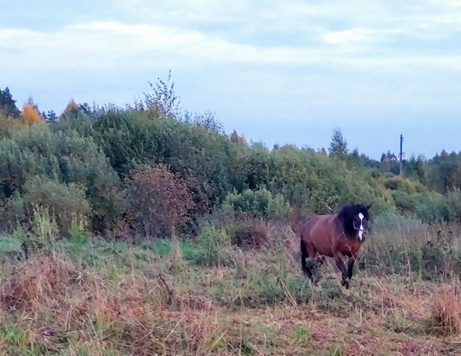 20260920_183403.jpg