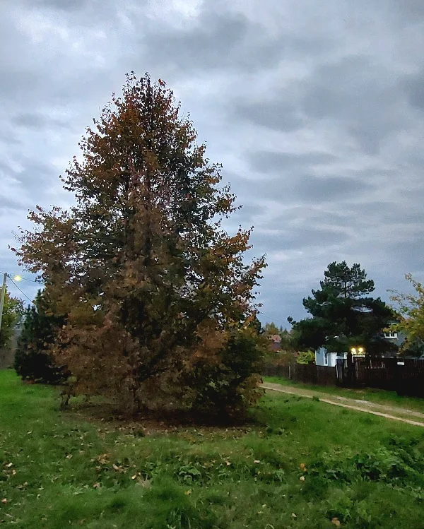 20260921_182611.webp