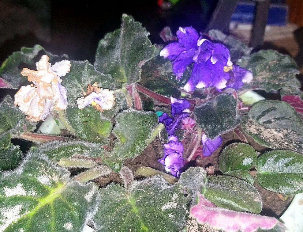 20260923_203801.webp