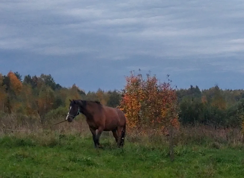 20260924_183250.webp