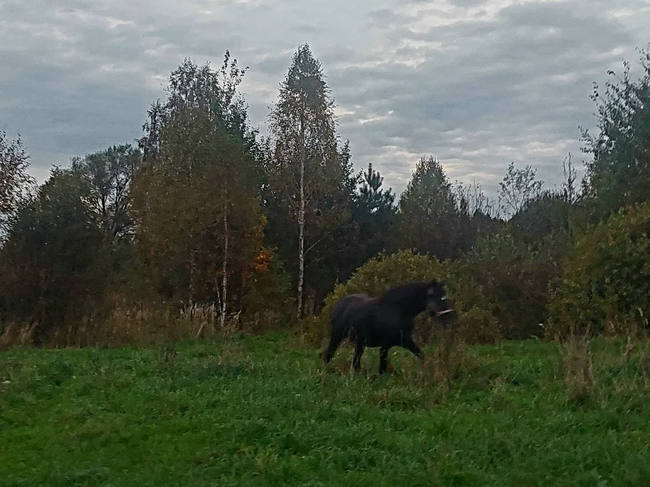 20260924_183651.webp