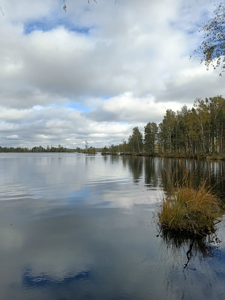 20260926_112354.webp