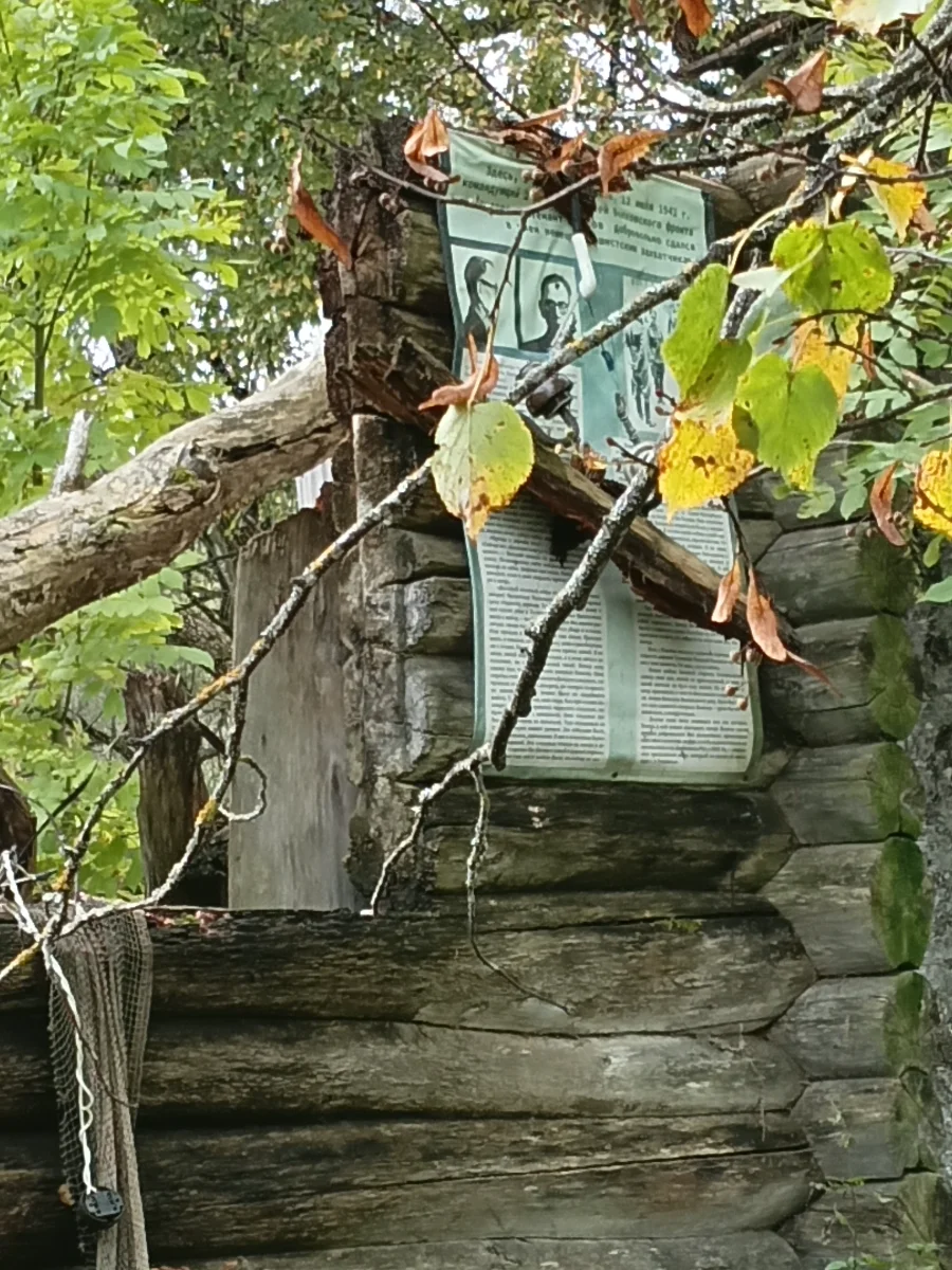 20260926_123825.webp