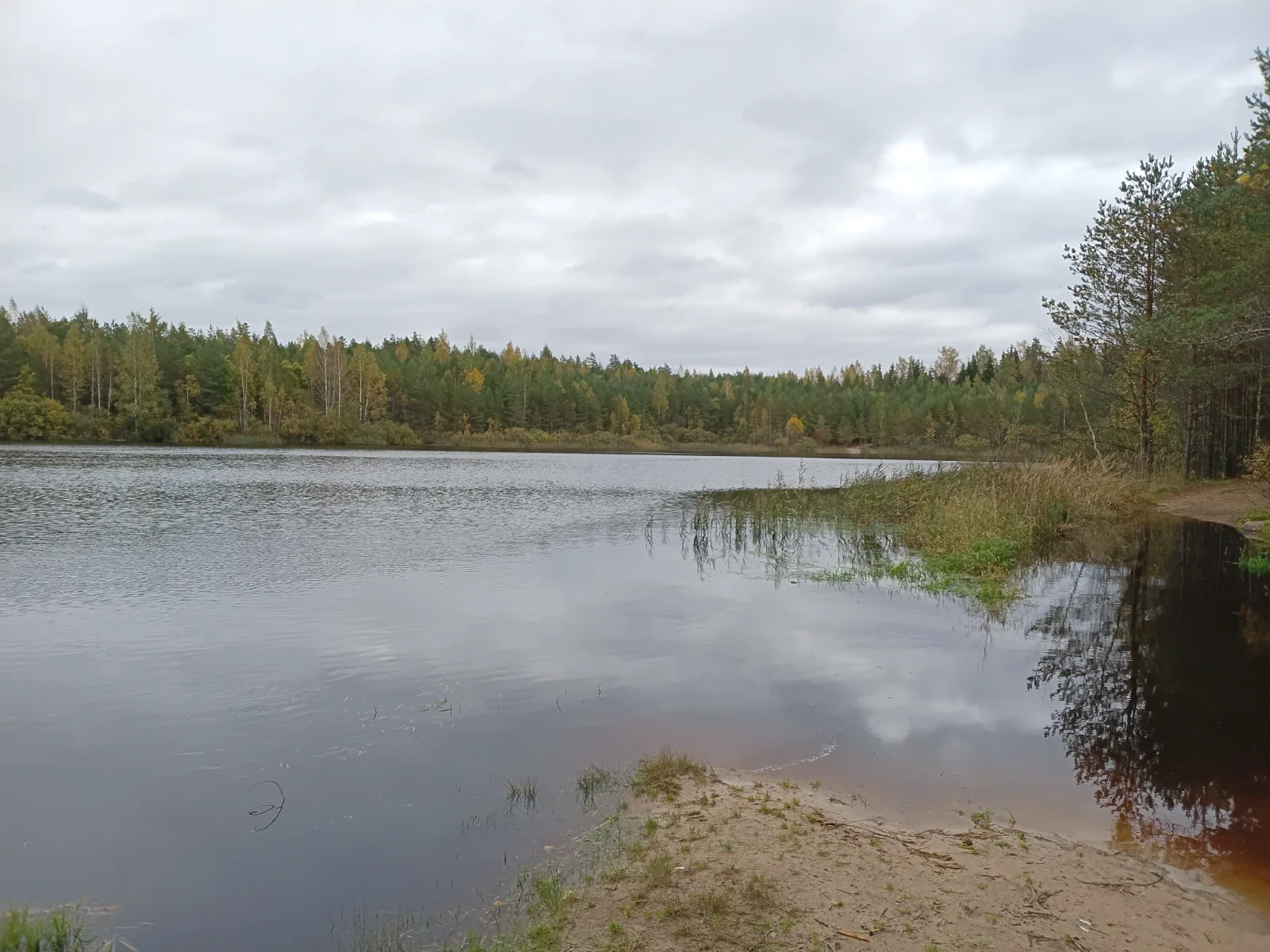 20260926_161645.webp