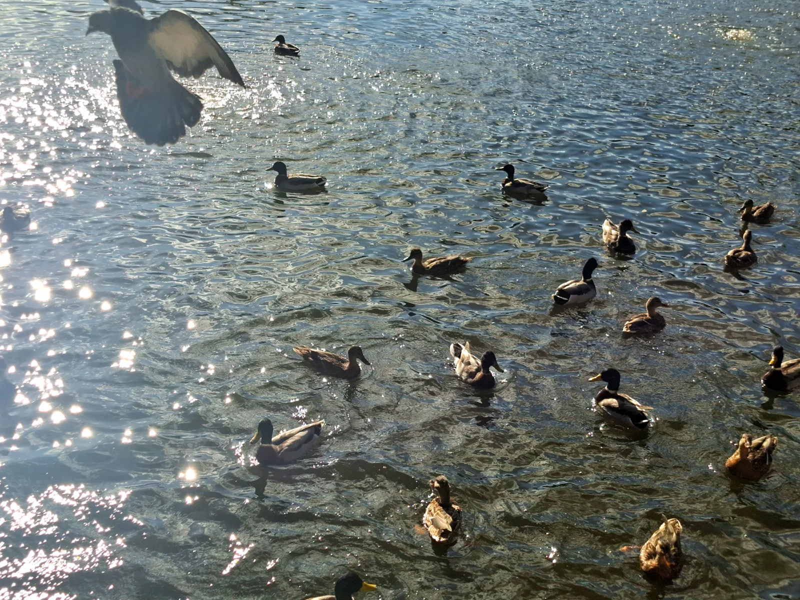 20260929_141416.webp