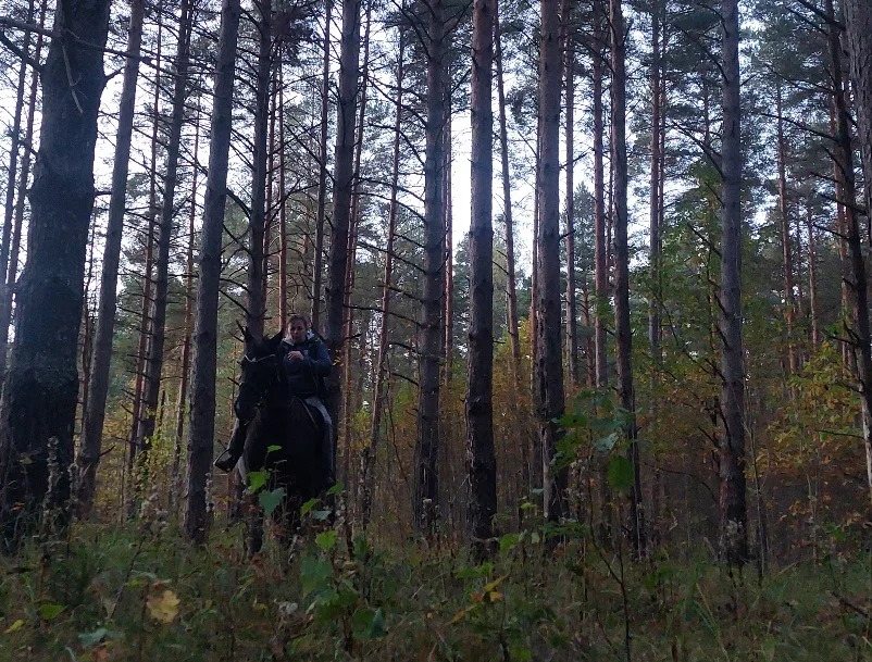 20261001_180200.webp