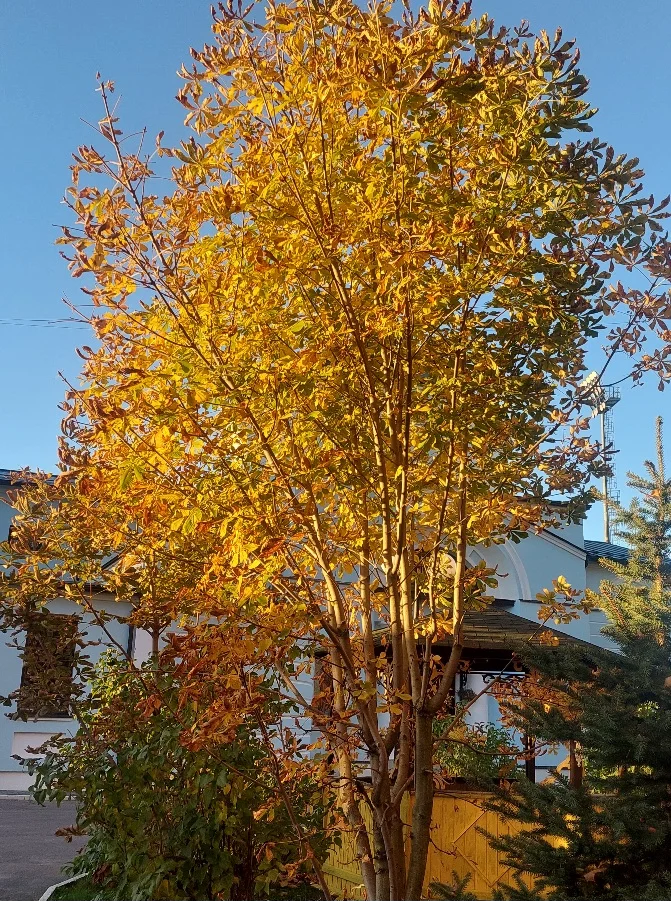 20261007_170849.webp