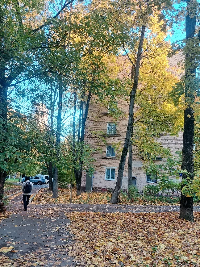 20261007_171740.webp