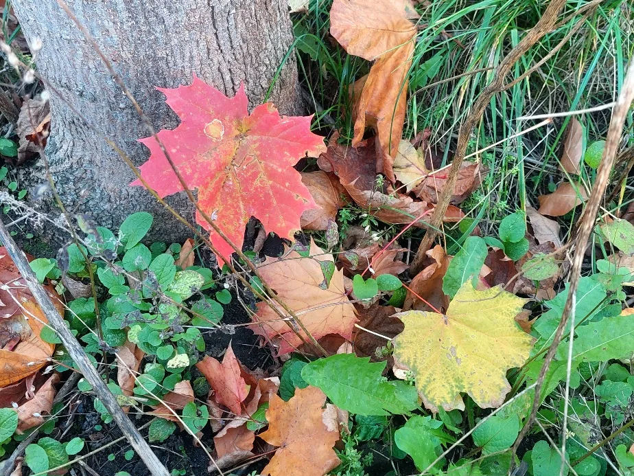 20261007_172225.webp