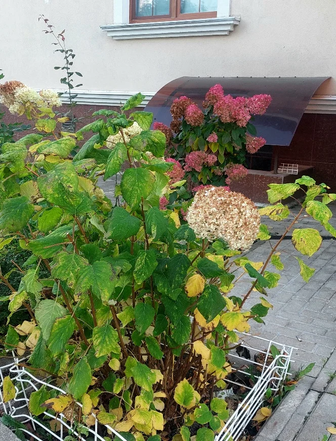 20261007_172431.webp