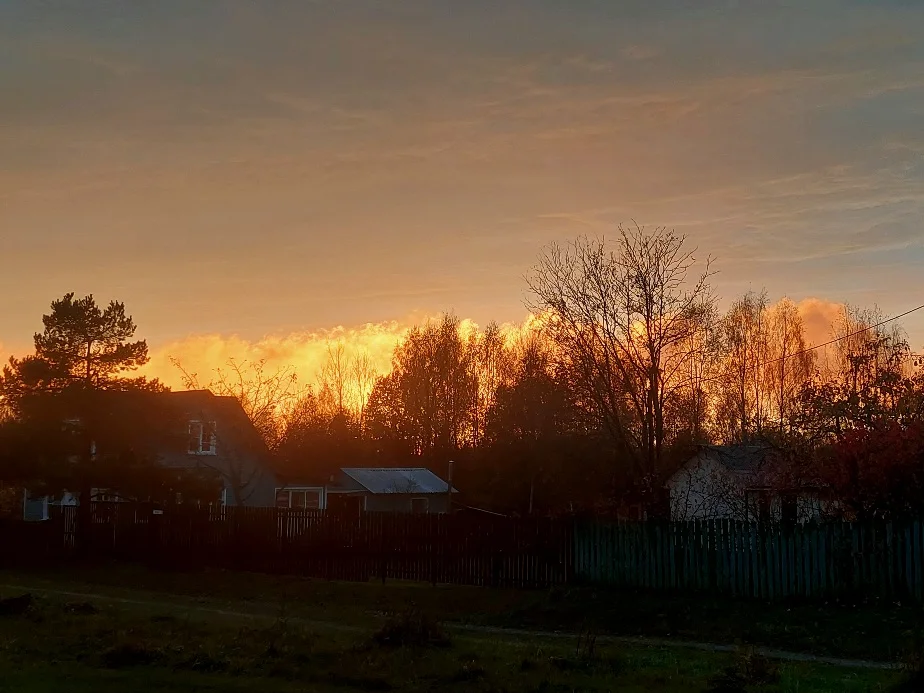 20261014_171936.webp