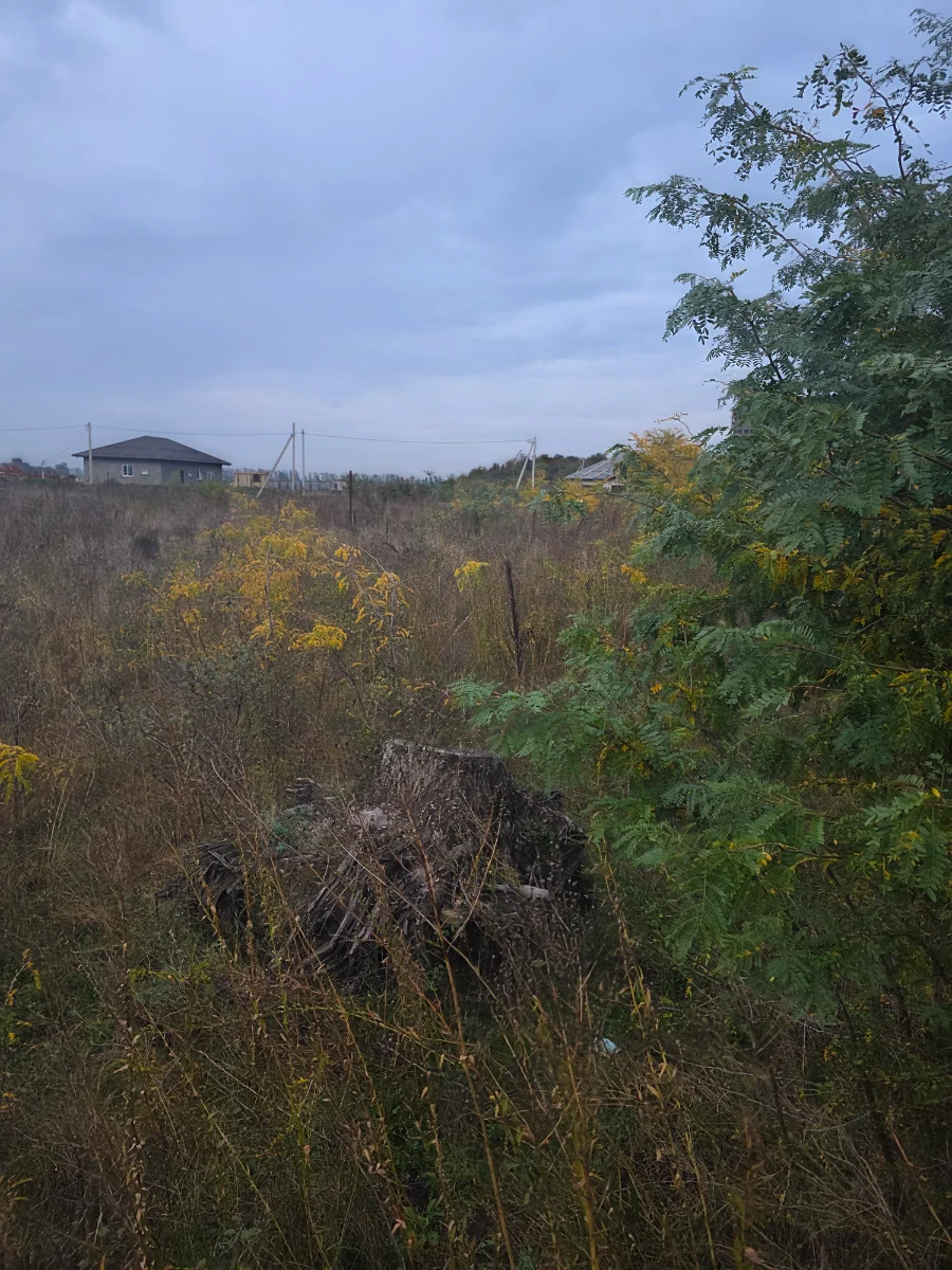 20261015_171134.webp
