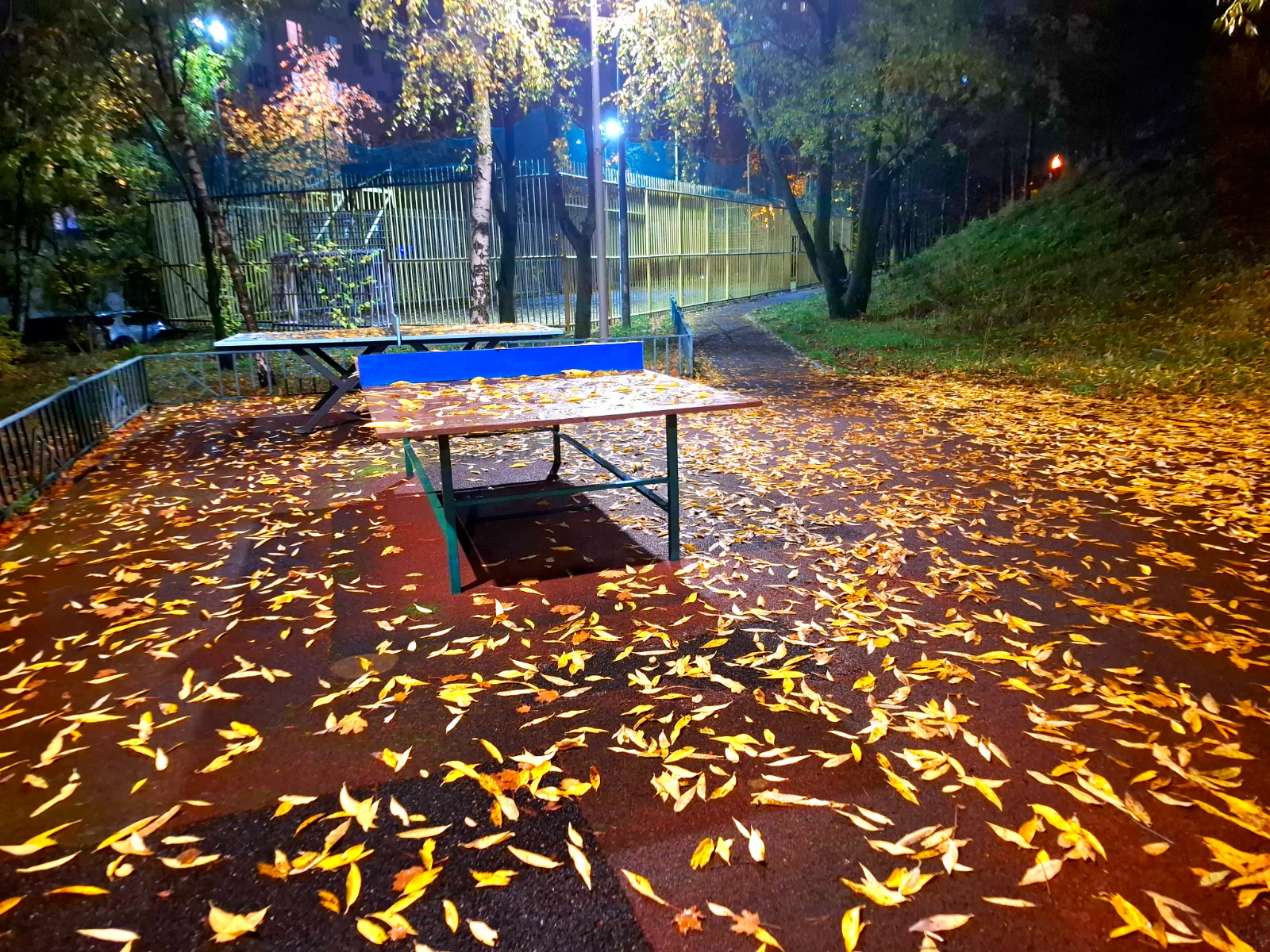 20261015_204151.webp