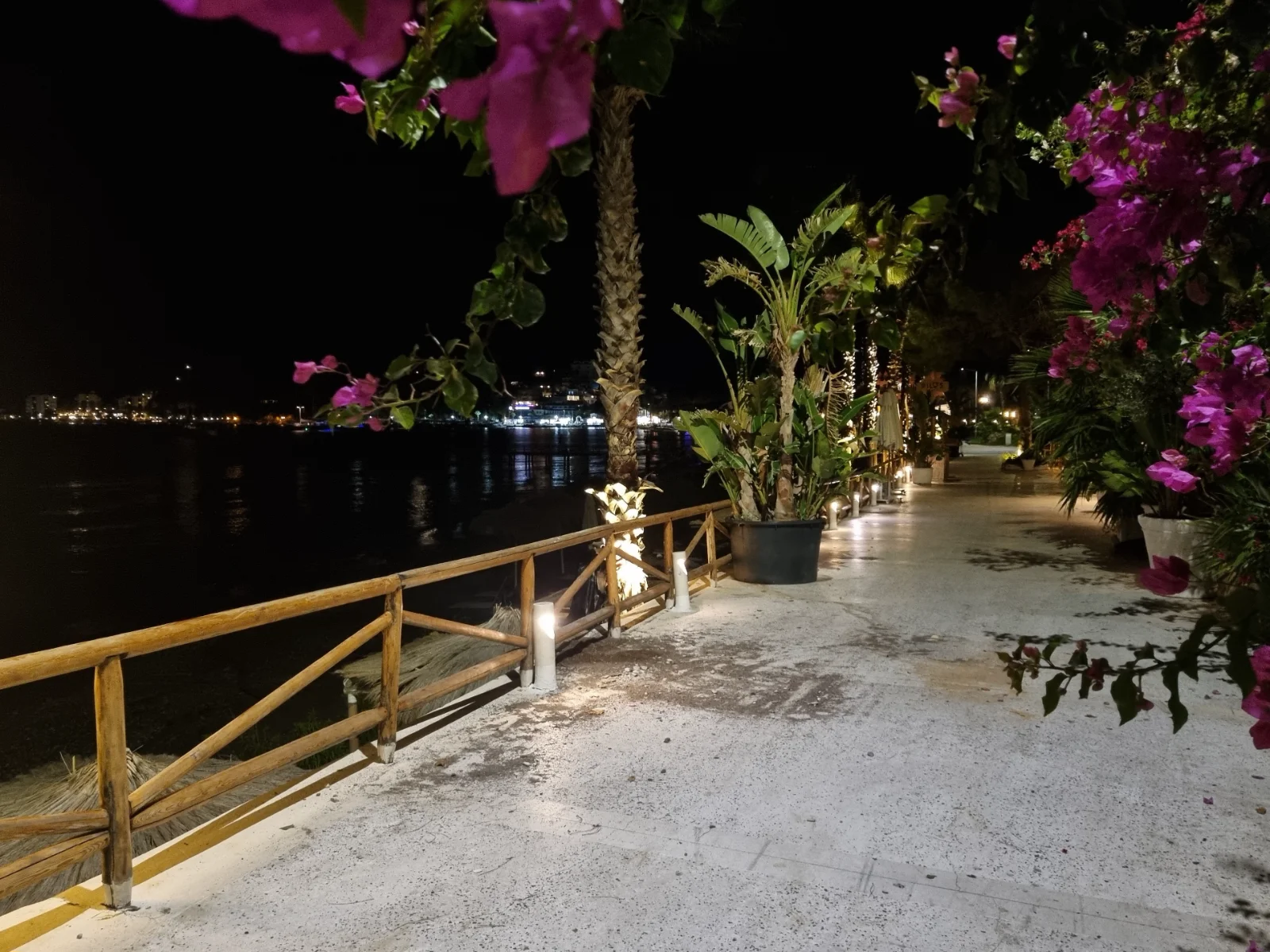 20261015_211530.webp