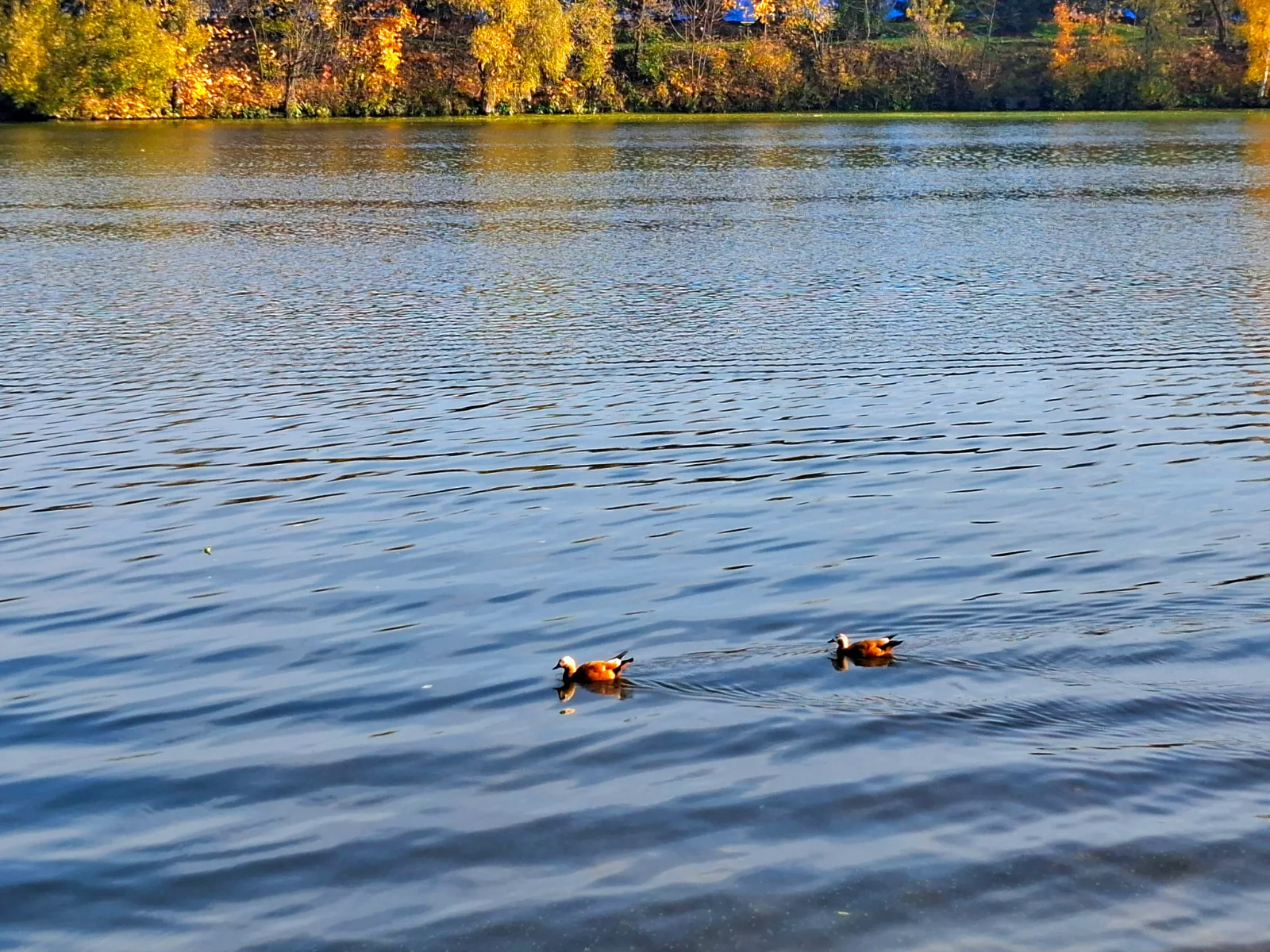 20261016_140844.webp