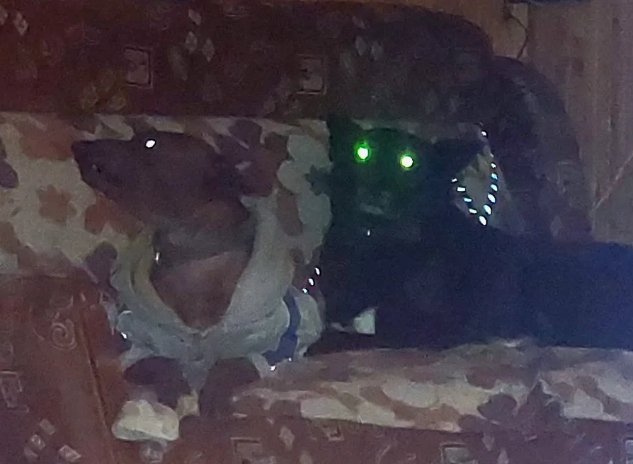 20261017_025902.webp