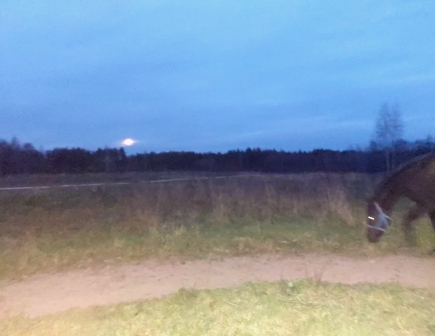 20261027_173445.webp