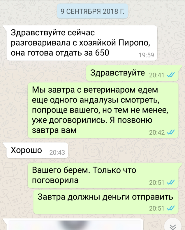 21-Feb-19 11-57-53 AM.png
