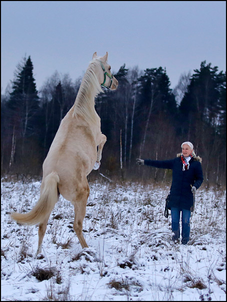 2191_svechka.jpg