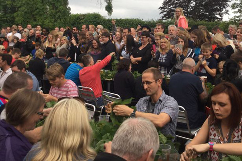 22062016-nettleeating1.jpg