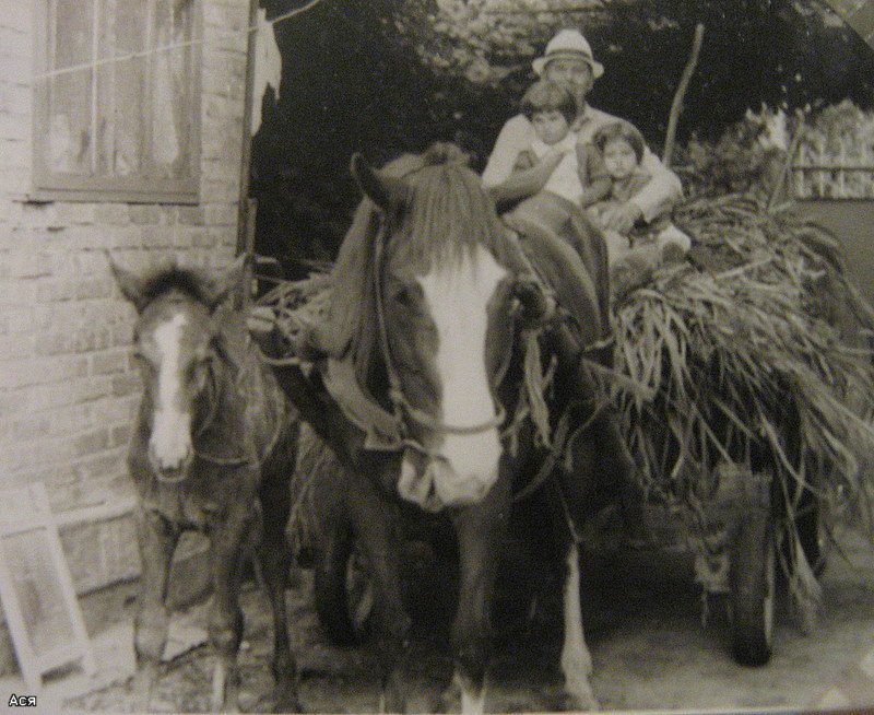 242ecbf5ca71.jpg