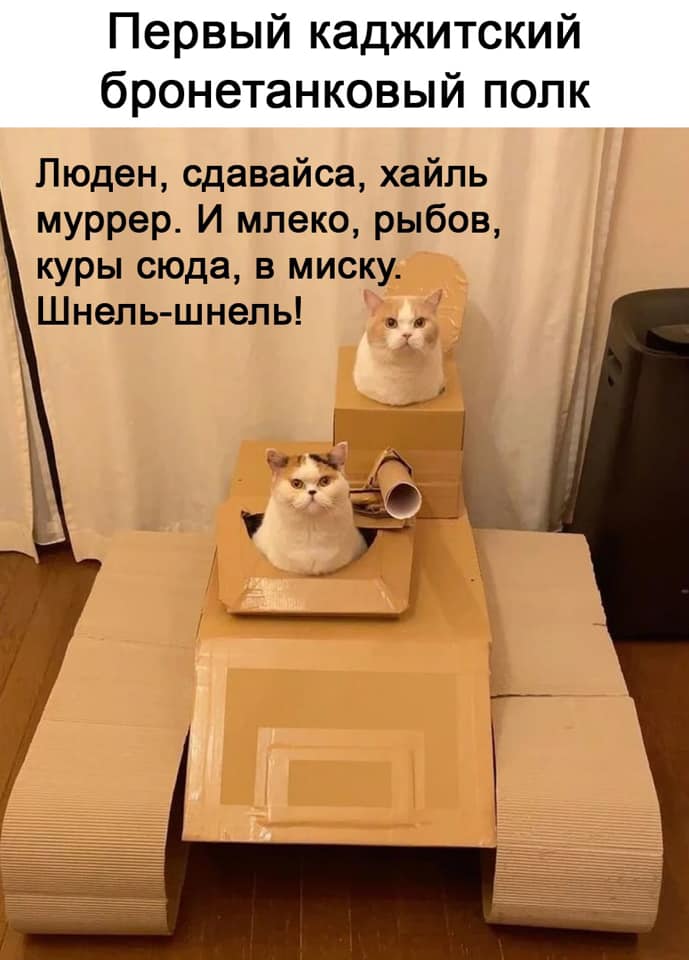 250198490_4860181953994643_1810318151178791712_n.jpg