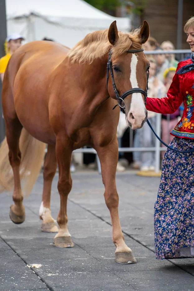 27 июня 2025 (225) (1).webp