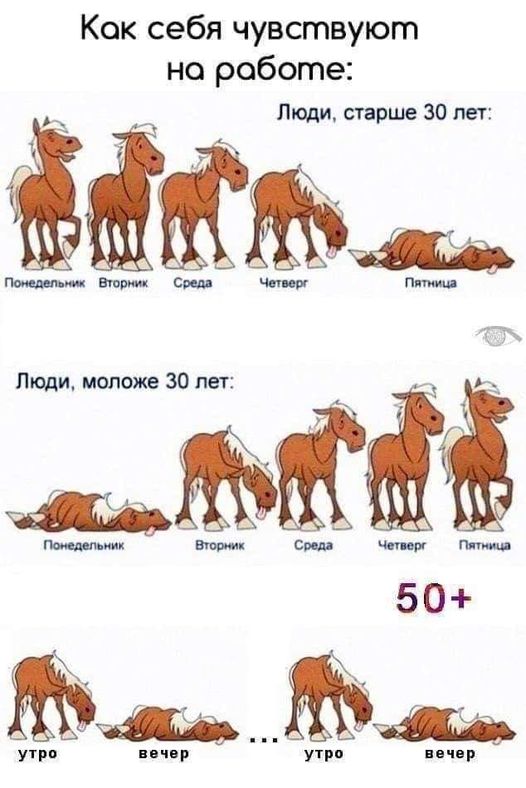 278399039_5135637096518543_3714073607219146376_n.jpg