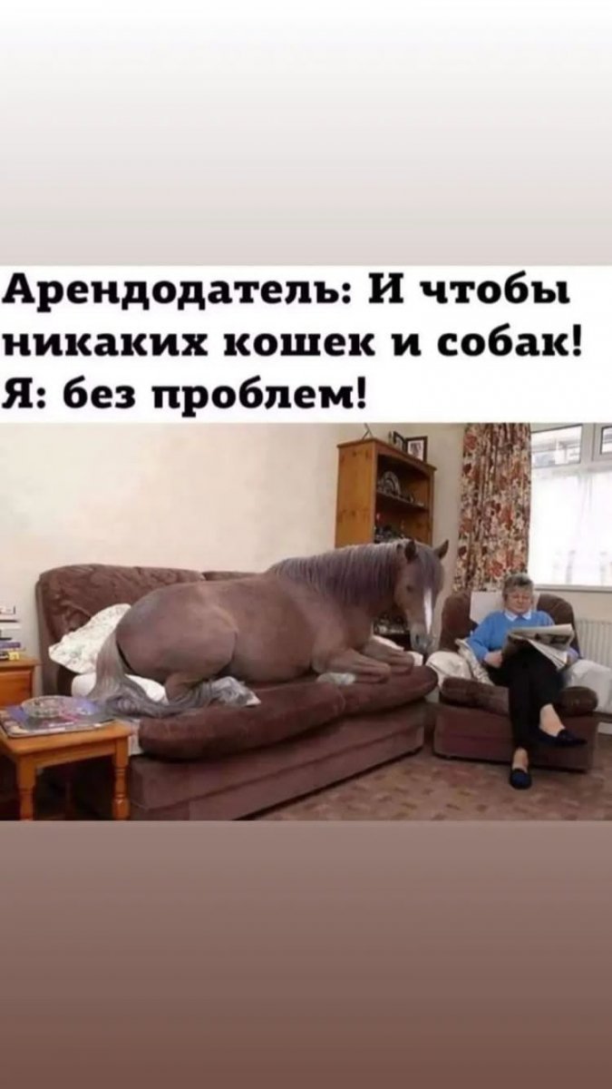 28429655-ADDF-4E6E-8C1C-176C96D16760.jpeg