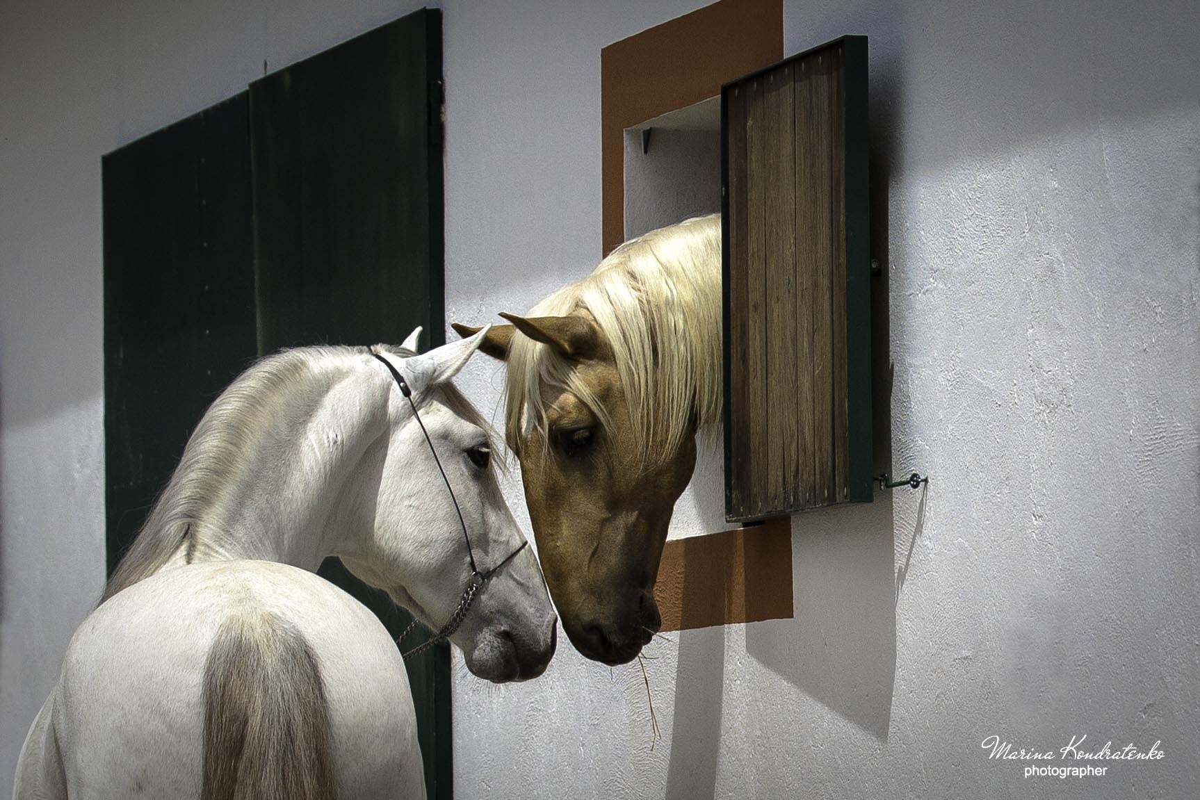 2horses_name.jpg